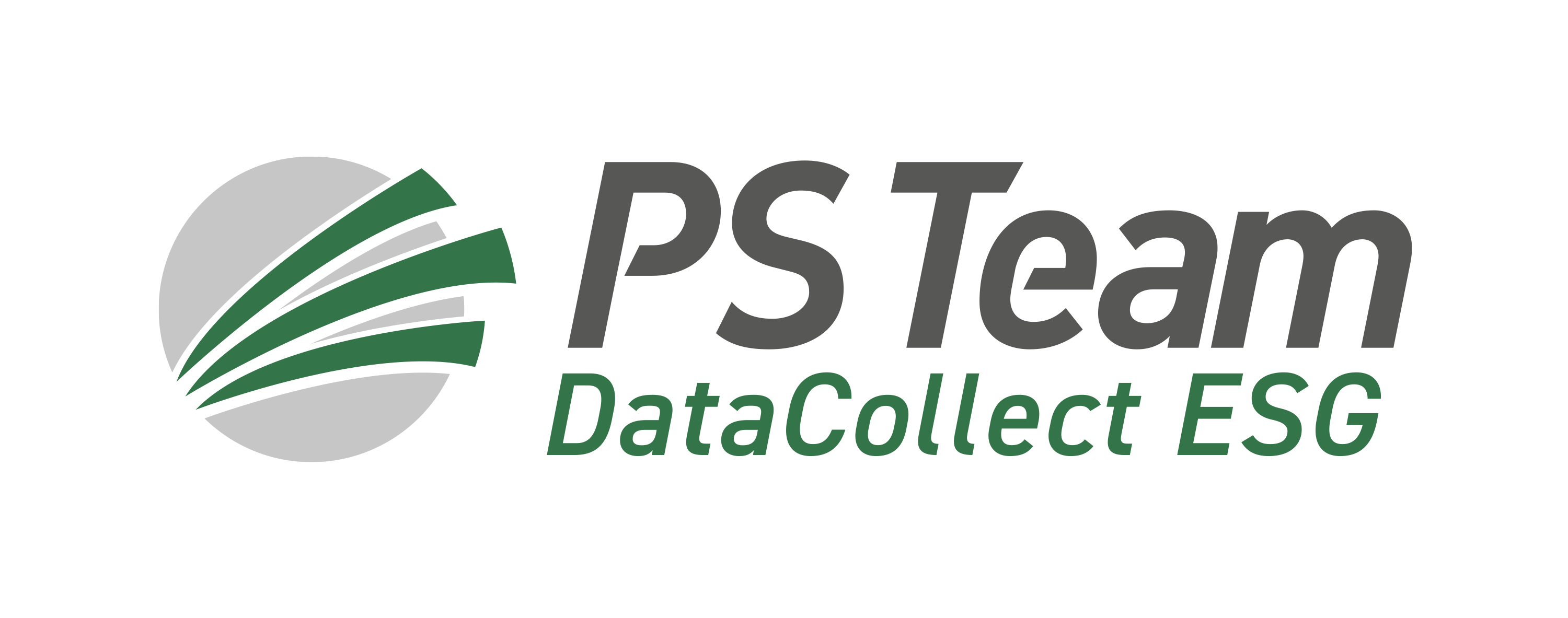 PS Team GmbH Logo